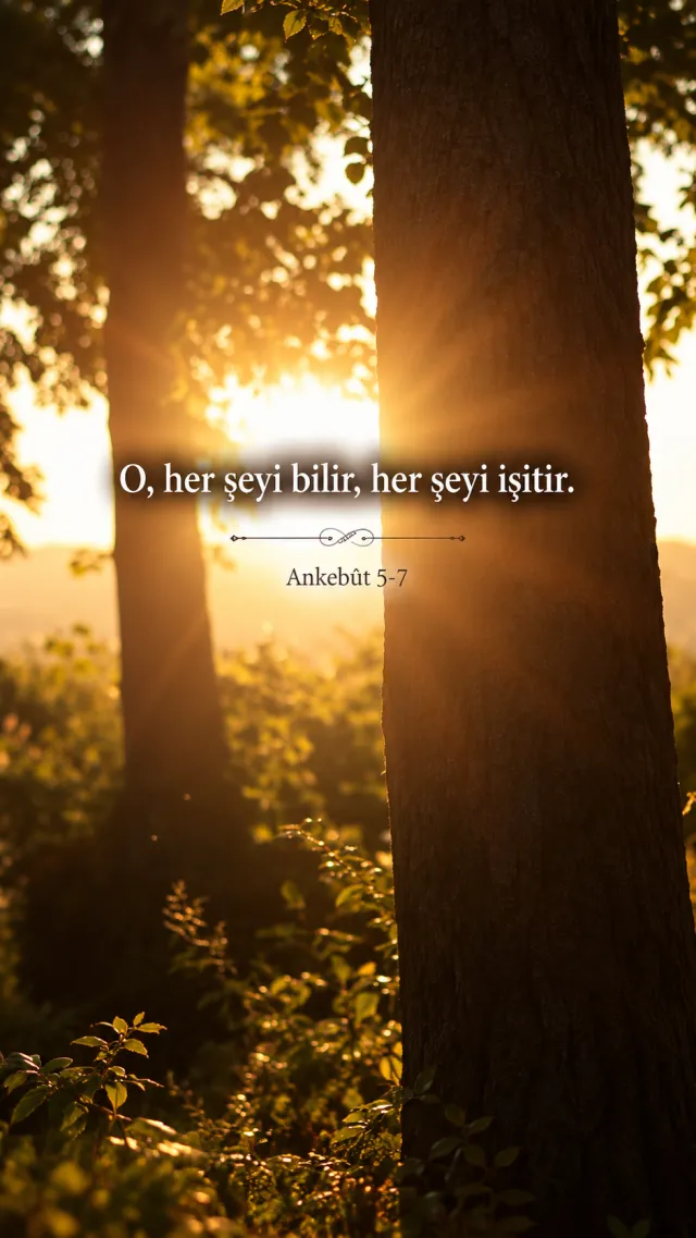 DOST TV Reel