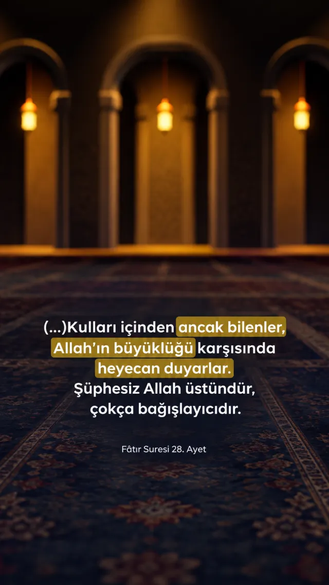 DOST TV Reel